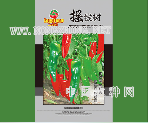 摇钱树
